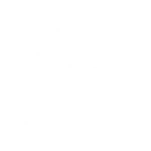 icon-euro-white